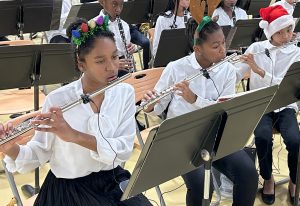 5th 6th grade band flutes